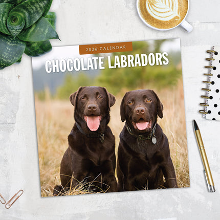 Red Robin Labrador Retriever Bruin Kalender 2026
