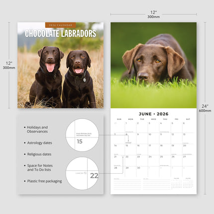 Red Robin Labrador Retriever Bruin Kalender 2026