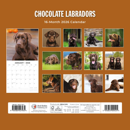 Red Robin Labrador Retriever Bruin Kalender 2026