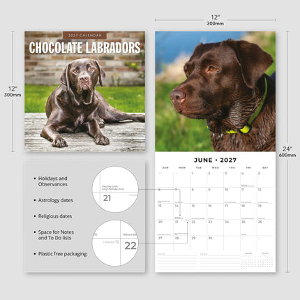 Red Robin Labrador Retriever Bruin Kalender 2027