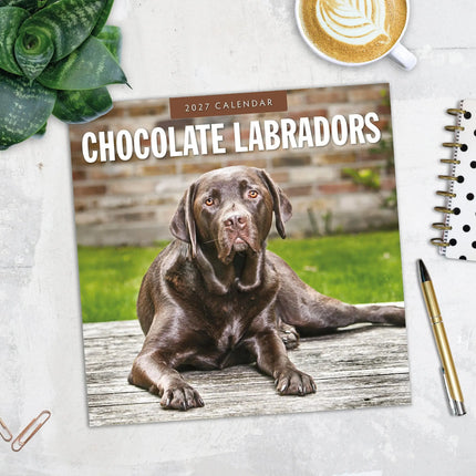 Red Robin Labrador Retriever Bruin Kalender 2027