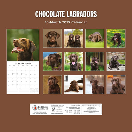 Red Robin Labrador Retriever Bruin Kalender 2027