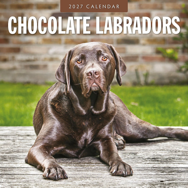 Red Robin Labrador Retriever Bruin Kalender 2027