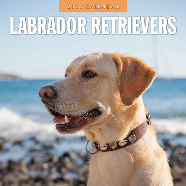 Red Robin Labrador Retriever Kalender 2026