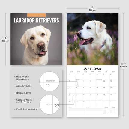 Red Robin Labrador Retriever Kalender 2026