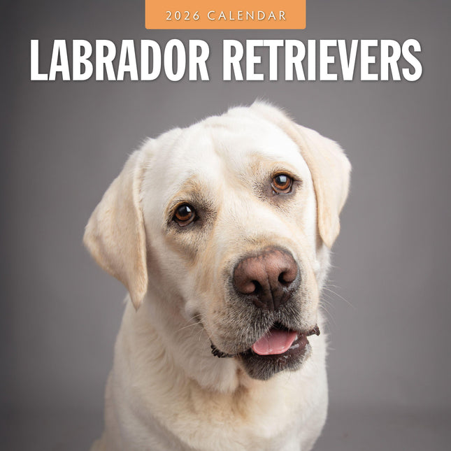 Red Robin Labrador Retriever Kalender 2026