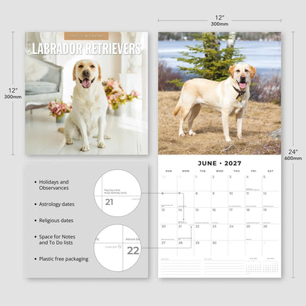Red Robin Labrador Retriever Kalender 2027