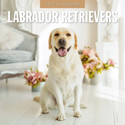 Red Robin Labrador Retriever Kalender 2027