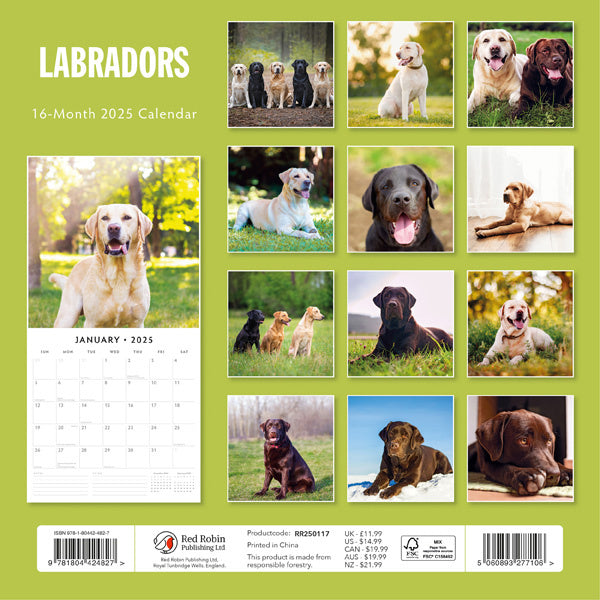 Red Robin Labrador Retriever Mixed Kalender 2025