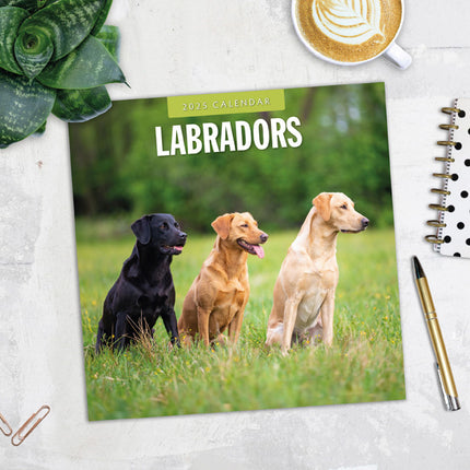 Red Robin Labrador Retriever Mixed Kalender 2025
