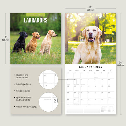 Red Robin Labrador Retriever Mixed Kalender 2025