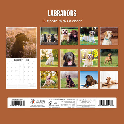 Red Robin Labrador Retriever Mixed Kalender 2027