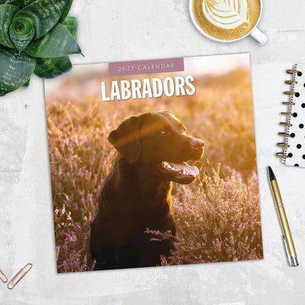 Red Robin Labrador Retriever Mixed Kalender 2027