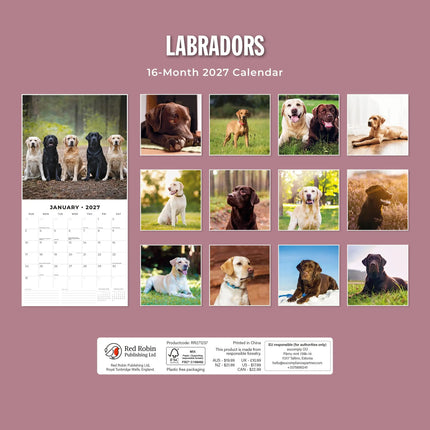 Red Robin Labrador Retriever Mixed Kalender 2027