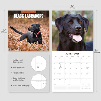 Red Robin Labrador Retriever Zwart Kalender 2026