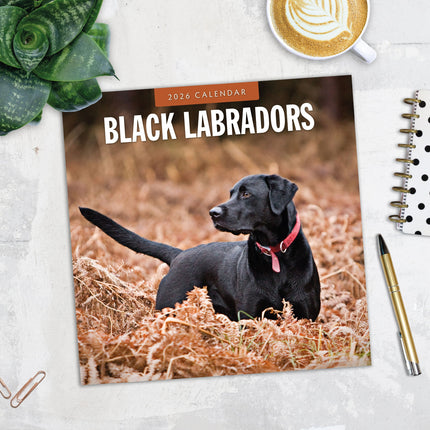 Red Robin Labrador Retriever Zwart Kalender 2026