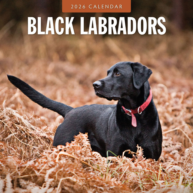 Red Robin Labrador Retriever Zwart Kalender 2026