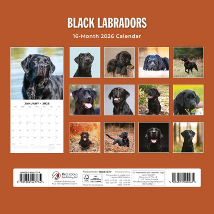 Red Robin Labrador Retriever Zwart Kalender 2026
