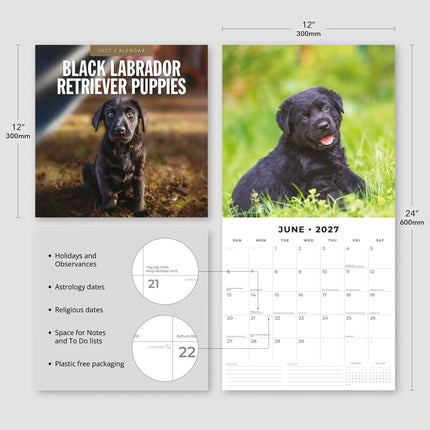Red Robin Labrador Retriever Zwart Puppies Kalender 2027