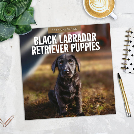 Red Robin Labrador Retriever Zwart Puppies Kalender 2027