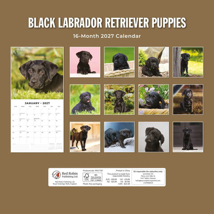 Red Robin Labrador Retriever Zwart Puppies Kalender 2027