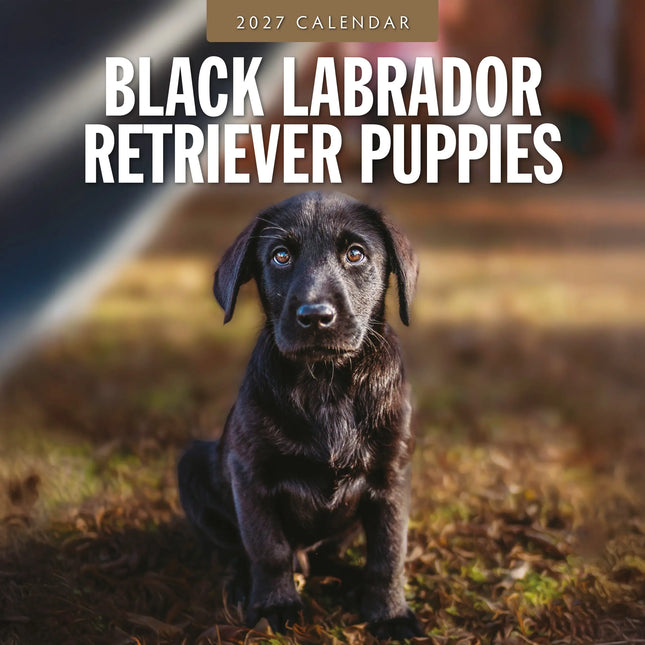 Red Robin Labrador Retriever Zwart Puppies Kalender 2027