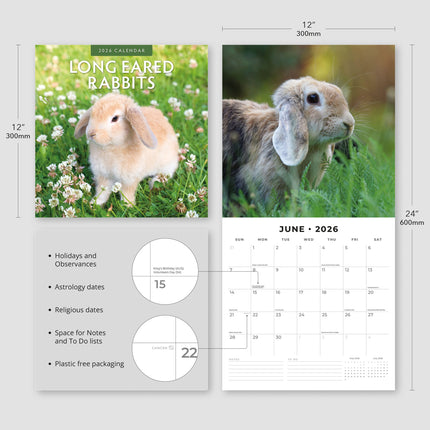 Red Robin Langoor Konijnen Kalender 2026