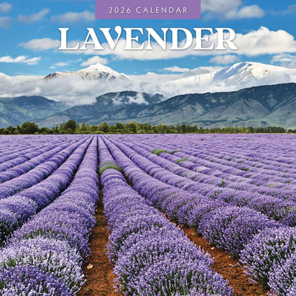 Red Robin Lavendel Kalender 2026