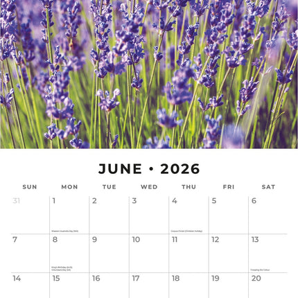 Red Robin Lavendel Kalender 2026