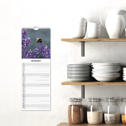 Red Robin Lavendel Slimline Kalender 2026