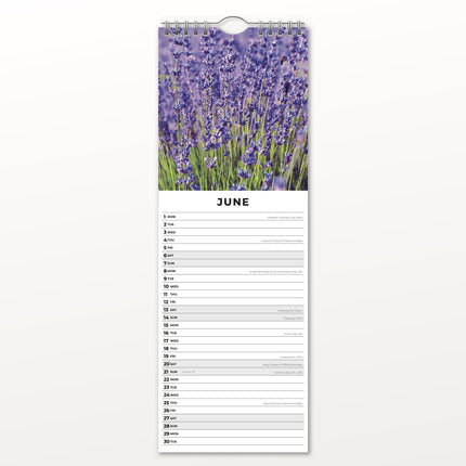Red Robin Lavendel Slimline Kalender 2026