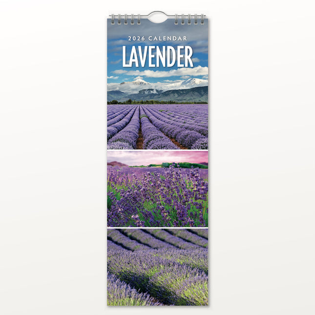 Red Robin Lavendel Slimline Kalender 2026