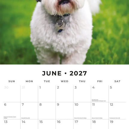 Red Robin Lhasa Apso Kalender 2027