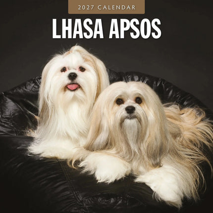 Red Robin Lhasa Apso Kalender 2027