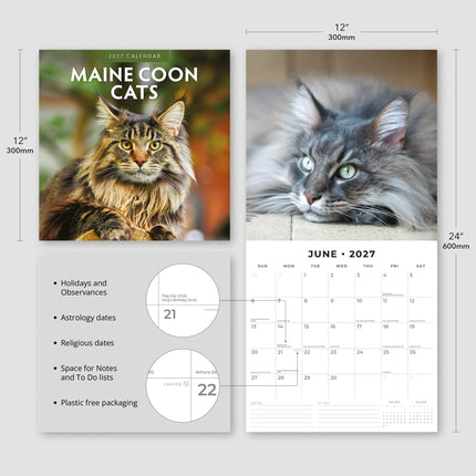 Red Robin Maine Coon Kalender 2027