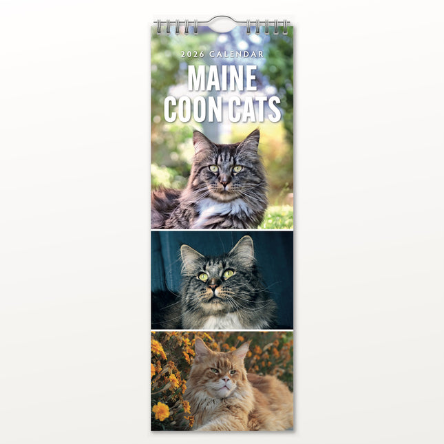 Red Robin Maine Coon Slimline Kalender 2026
