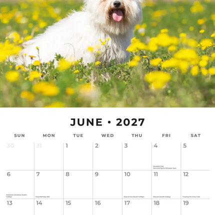 Red Robin Maltezer Kalender 2027