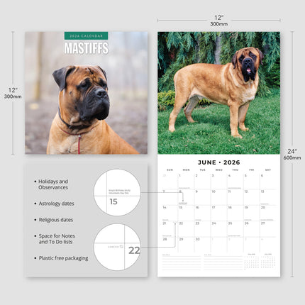 Red Robin Mastiff Kalender 2026