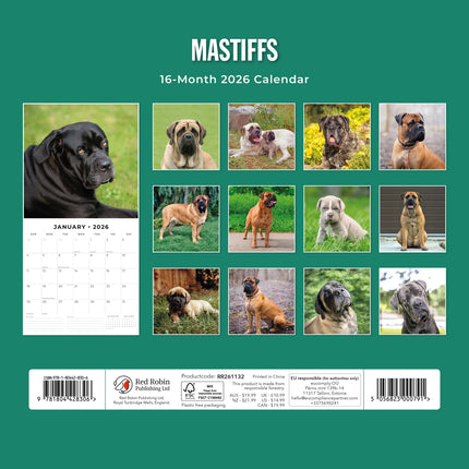 Red Robin Mastiff Kalender 2026