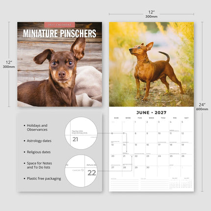 Red Robin Miniatuur Pinscher Kalender 2027