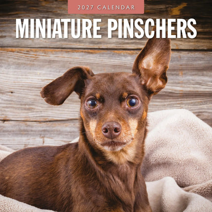 Red Robin Miniatuur Pinscher Kalender 2027
