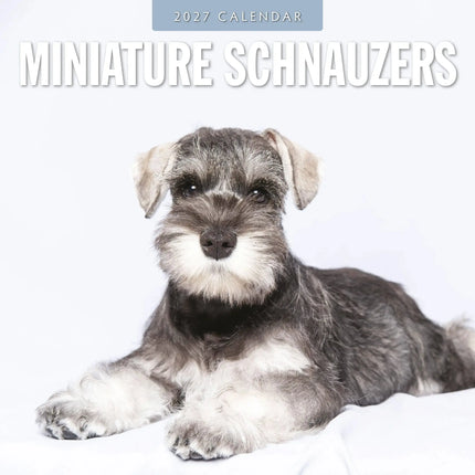 Red Robin Miniatuur Schnauzer Kalender 2027