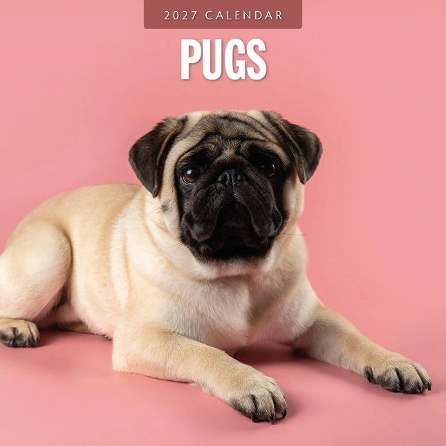 Red Robin Mopshond Kalender 2027