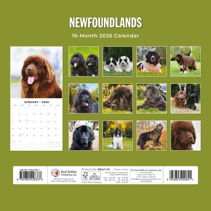 Red Robin Newfoundlander Kalender 2026