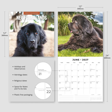 Red Robin Newfoundlander Kalender 2027