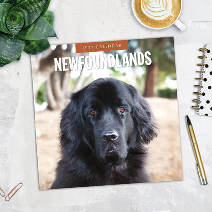Red Robin Newfoundlander Kalender 2027