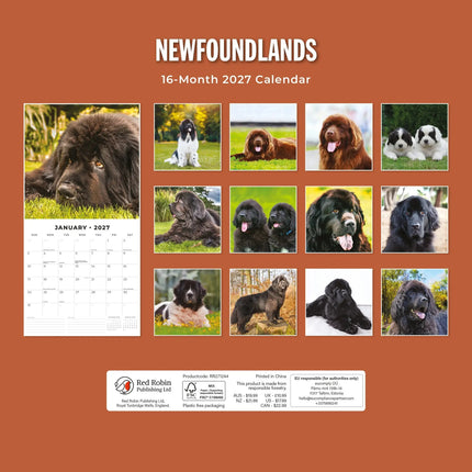 Red Robin Newfoundlander Kalender 2027