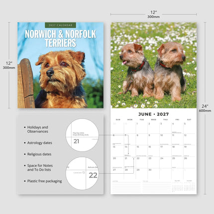 Red Robin Norwich en Norfolk Terrier Kalender 2027