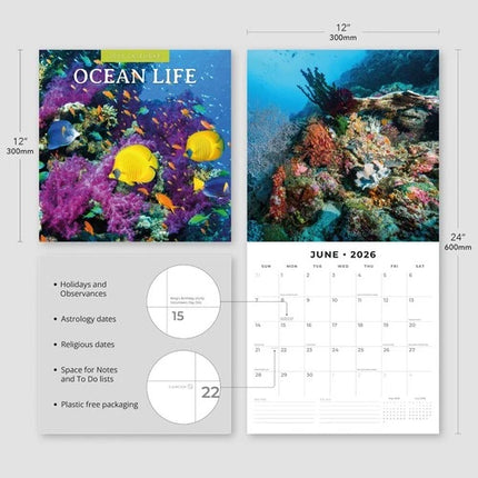 Red Robin Ocean Life Kalender 2026