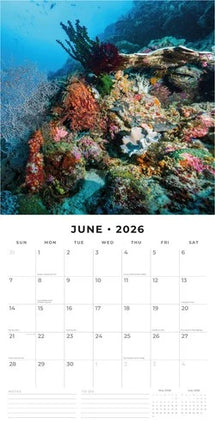 Red Robin Ocean Life Kalender 2026